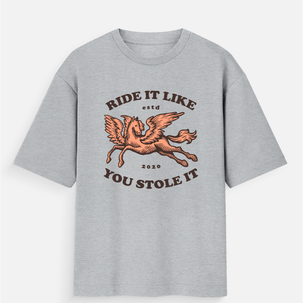 Ride It Like You Stole It Unisex Loose Fit Standard T-Shirt