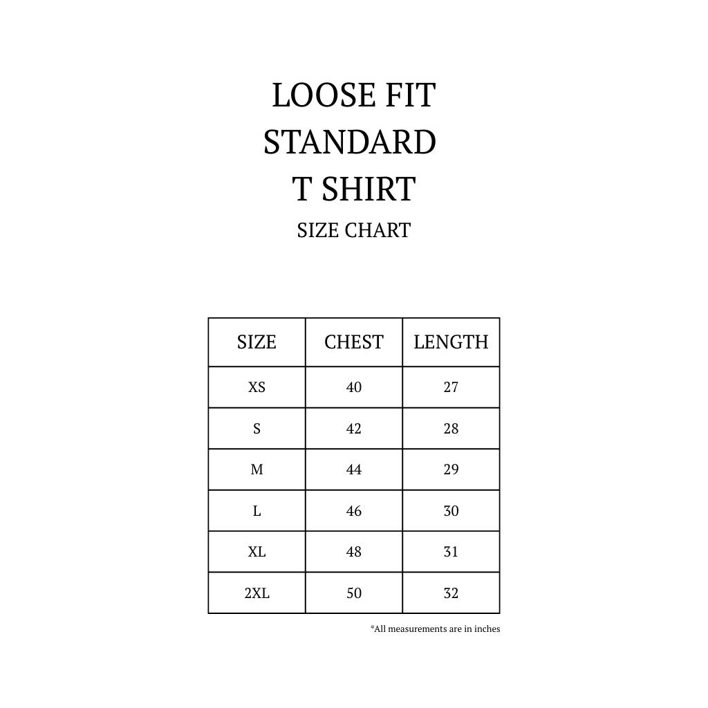 Ride It Like You Stole It Unisex Loose Fit Standard T-Shirt